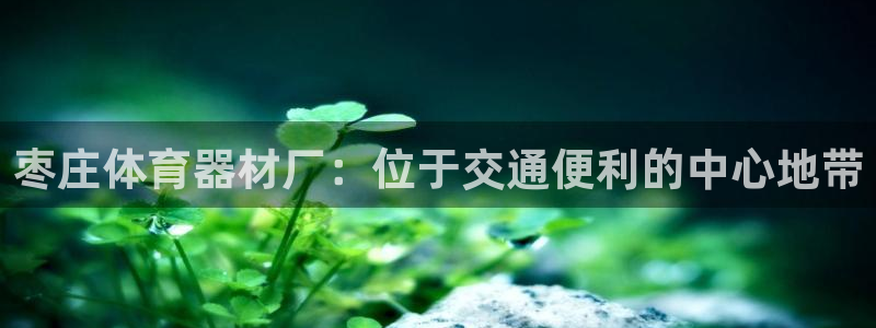 耀世平台理 411o31 平台:枣庄体育器材厂:位于交通便利