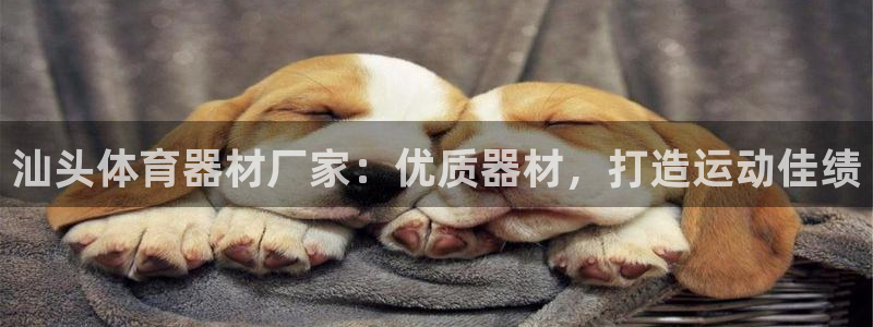 耀世平台登录待做7.1.6.5.8.95信用好:汕头体育器材