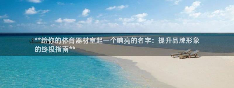 耀世璀璨:**给你的体育器材室起一个响亮的名字:提升品牌形象