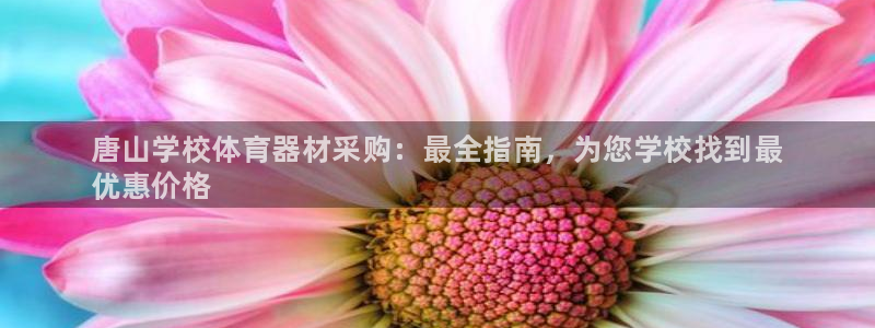 耀世集团是干嘛的:唐山学校体育器材采购:最全指南,为您学校找