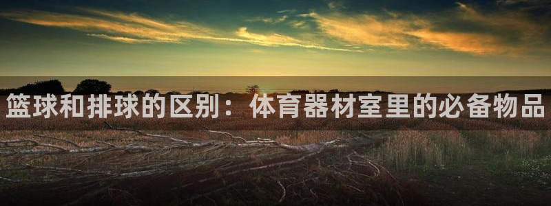 耀世娱乐app下载官网:篮球和排球的区别:体育器材室里的必备