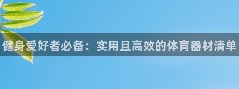 耀世影视:健身爱好者必备:实用且高效的体育器材清单