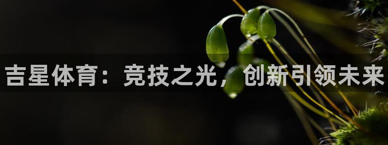 耀世小说全文免费阅读:吉星体育:竞技之光,创新引领未来