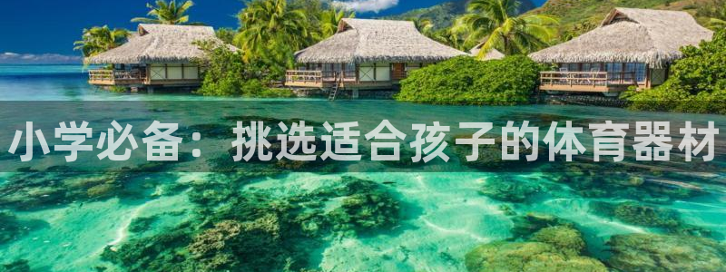 耀世娱乐登陆地址查询:小学必备:挑选适合孩子的体育器材